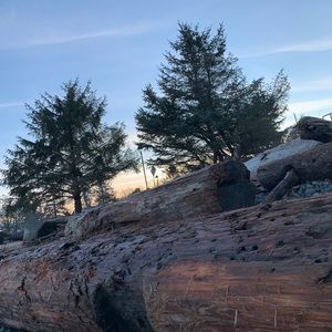 Meet your Posher, Callie ann